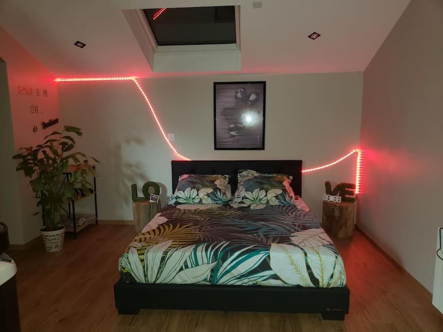 Bulles Etoilees Avec Jacuzzi Prive Appartement